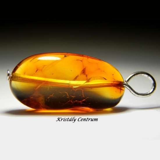 Borostyán medál rovarzárvánnyal