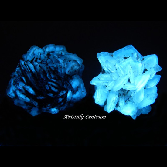 Gipszrózsák fehér/fekete